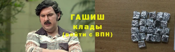 индика Корсаков