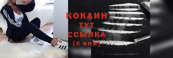 индика Корсаков