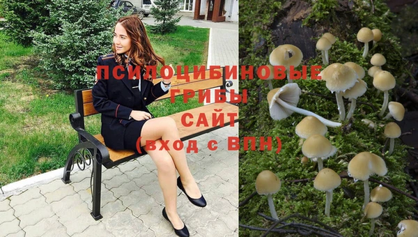 индика Корсаков