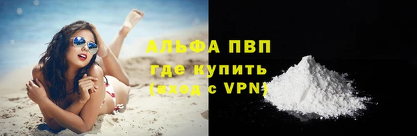 индика Корсаков