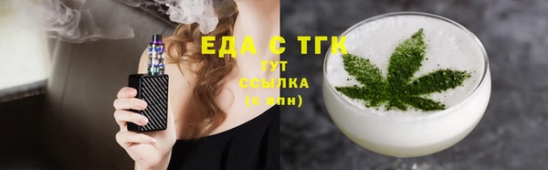индика Корсаков