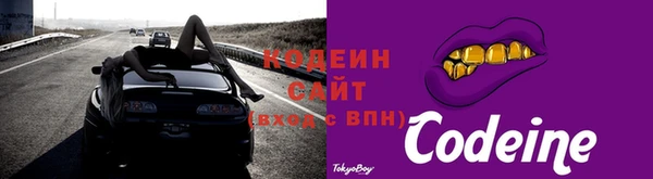 хмурый Бикин