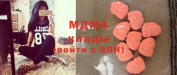 индика Корсаков
