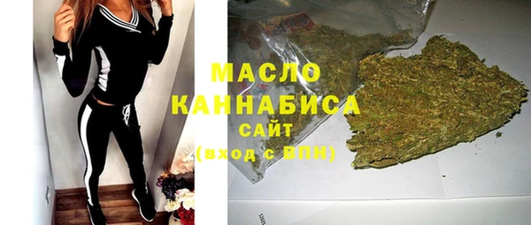 индика Корсаков