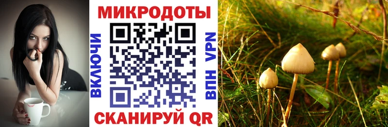 Галлюциногенные грибы ЛСД магазин продажи наркотиков мега ТОР Кемерово