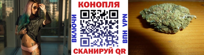 купить   Кемерово  Шишки марихуана OG Kush 